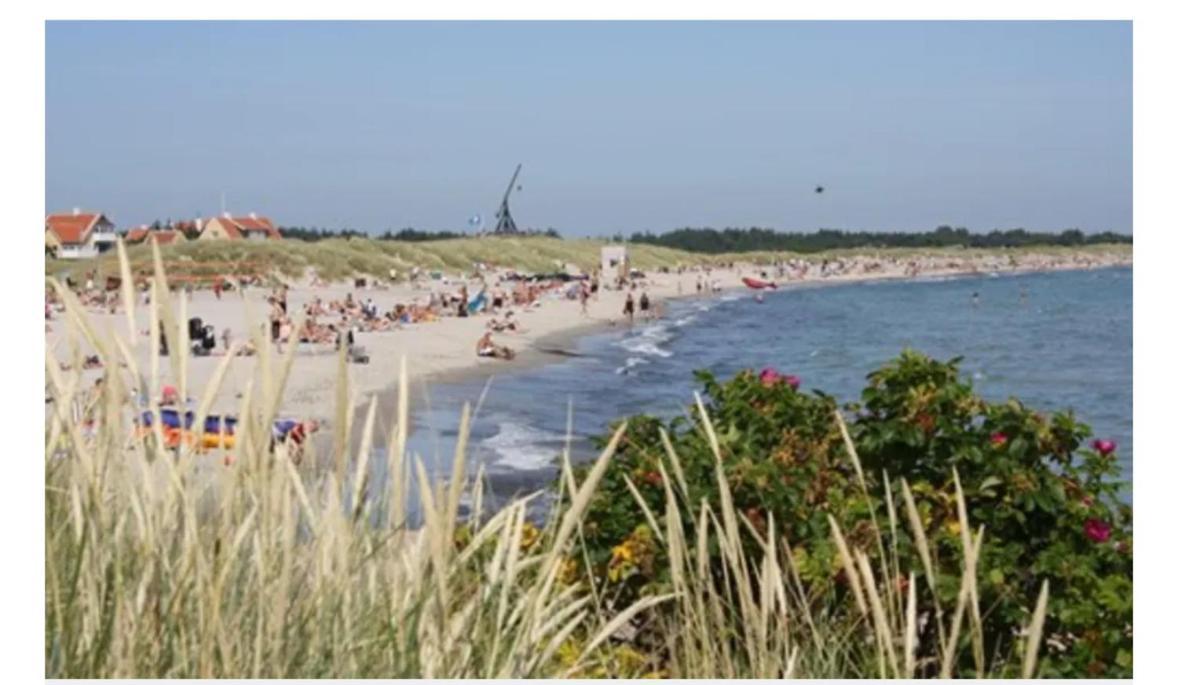 Skon Villalejlighed I Skagen Med Terrasse Og Taet Pa Centrum Экстерьер фото